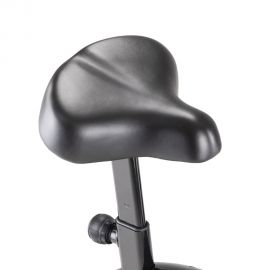 inSPORTline Bicicleta Fitness inSPORTline Petyr UB
