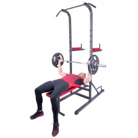 inSPORTline Power Tower multifunctional X150